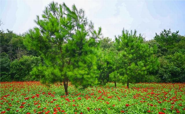 风景|湖北最低调景区，位于襄阳，名气比不过古隆中，但是风景毫不逊色
