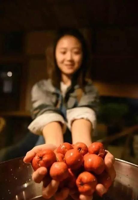 小院|20多岁的年龄差距,却把一个破烂的农家小院变成了“桃花源”