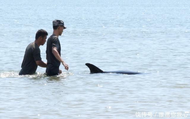  发生|海滩上发生惨痛一幕，解放军果断出手，全世界都纷纷点赞