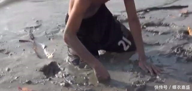 皮皮虾|海滩上发现有两个小洞 男子竟把腿伸进去 大呼: 原来它住在里面