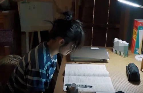 高考|高考文化课391分，立过学霸人设的张子枫果然被嘲了