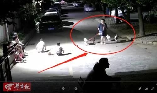 警方|2岁幼童被狗扑倒咬伤,狗主人:跌倒划伤的!警方介入