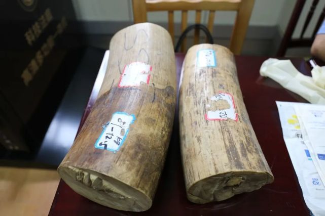  告人戴某|判了！11年半！