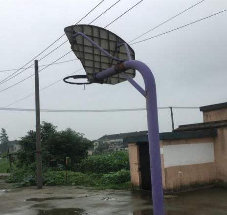  江阴|江阴有群“啄木鸟”，专干这件事！