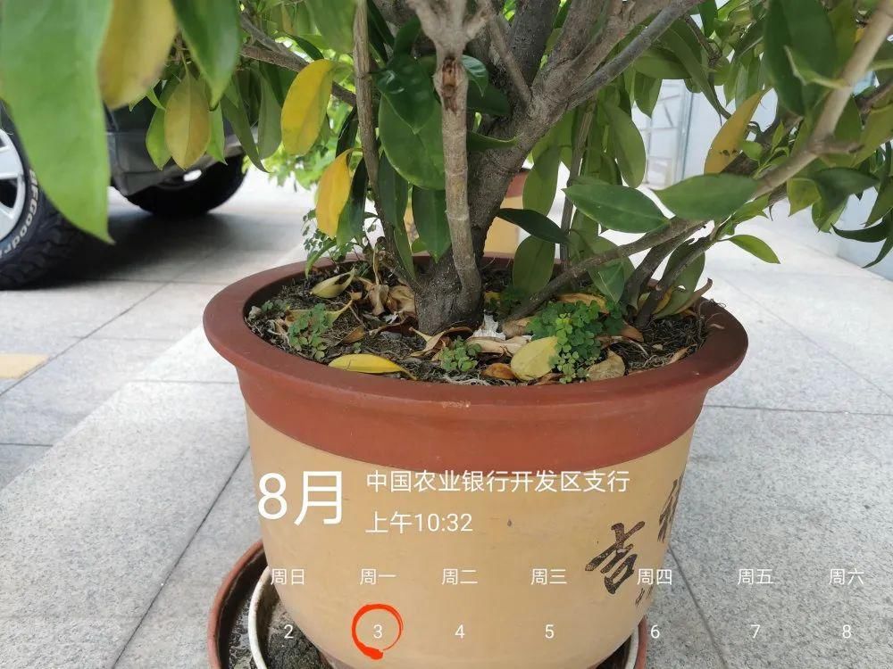 赣州|必须曝光！赣州这些不文明现象给城市“减分”