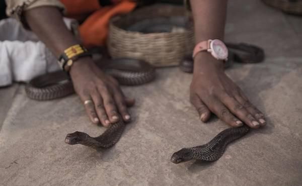  受伤|受伤的文明：印度