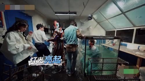  密室|密逃最后一个密室玩太大，黄明昊被困水箱两小时，粉丝集体揪心