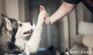  涉事|老人被狗绳绊倒后摔地而亡，涉事女子连老人都不看一眼，这就是所谓的养狗人士？