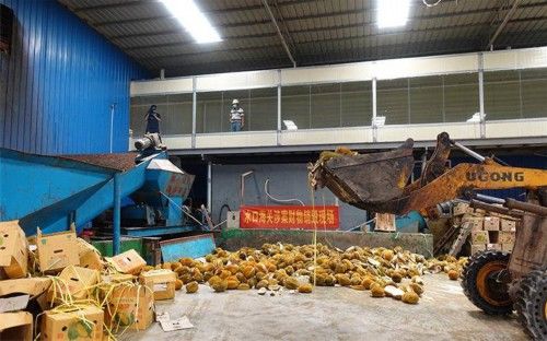 销毁|广西海关销毁近50吨涉嫌走私榴莲！吃货别伤心了