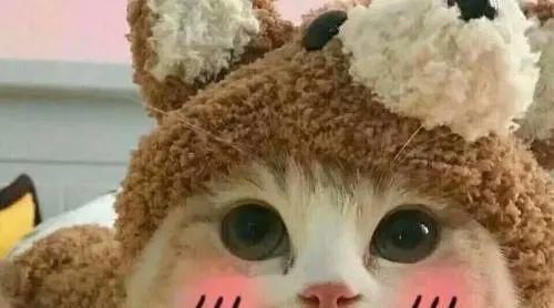 出道|丑成这样还能出道？一起看明星长相的真香打脸现场！