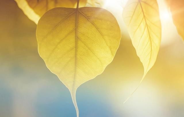  公司|公司要上市，辞职后原始股还能保留吗？注意3点，不然容易吃亏