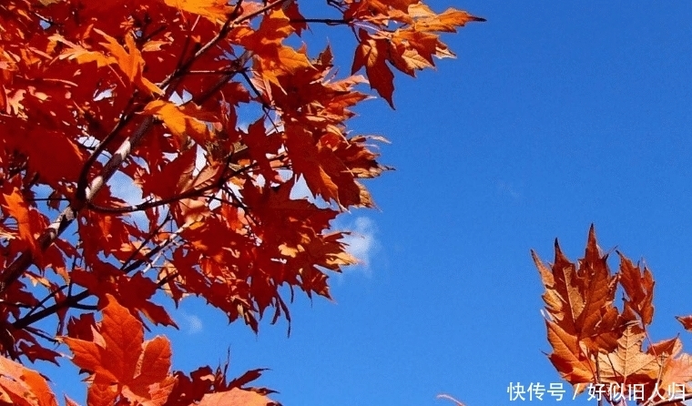 跪下|佛法：到了60岁，有四种饭局，哪怕别人跪下求你，也不要参加