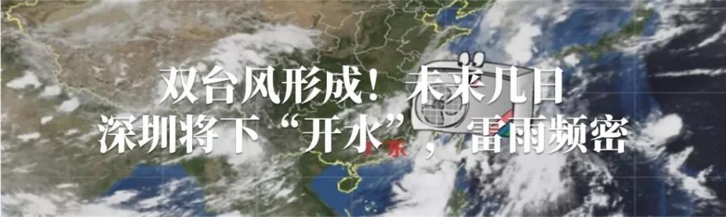  交警|一对情侣高速避险车道违停自拍，还互相喂蛋糕……罚！