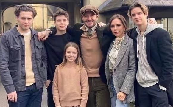  疼爱|小七又胖了，肚子鼓起太可爱小贝快抱不动了，多一个嫂子疼爱