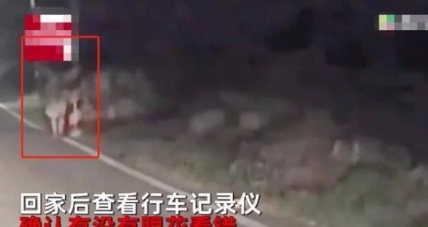  查看|男子半夜驾车经过公墓，路边有白影闪过，回家查看记录仪吓出冷汗
