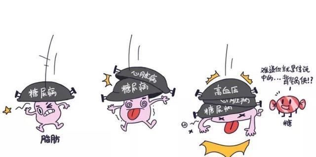  吃多|肉肉是怎么来的？怎么减掉的？｜能看懂的人都瘦了……