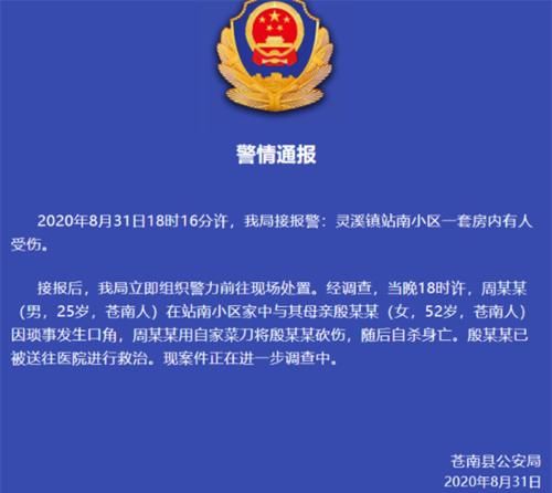 口角|不值得！起因家庭琐事口角，25岁儿子拿菜刀砍伤母亲后自杀！