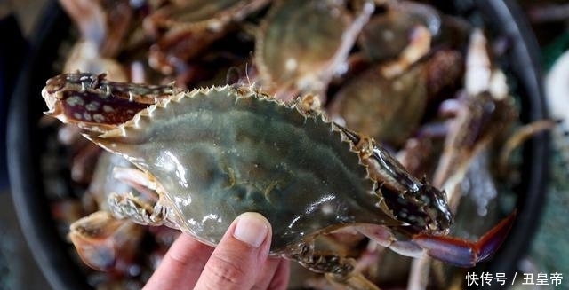 梭子蟹|8月份,梭子蟹要吃公的,教你5个挑选技巧,螃蟹肥美,蟹膏满满
