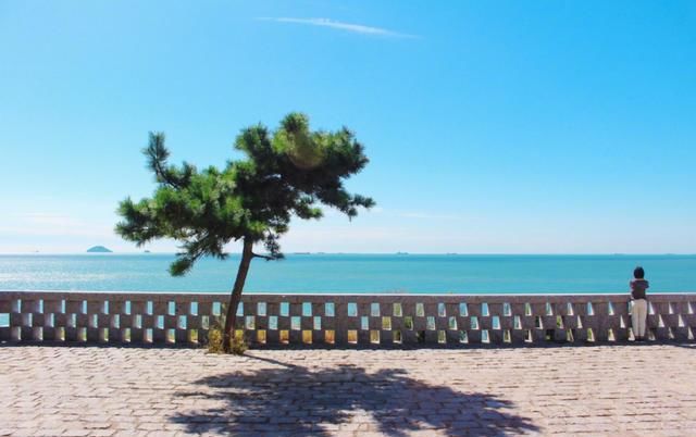 快乐|我在青岛做了这10件小事,找回了久违的快乐