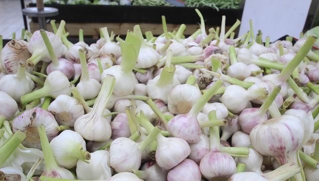  分量轻|过年了，这5种大蒜千万不要买！我也刚知道，赶紧告诉家人