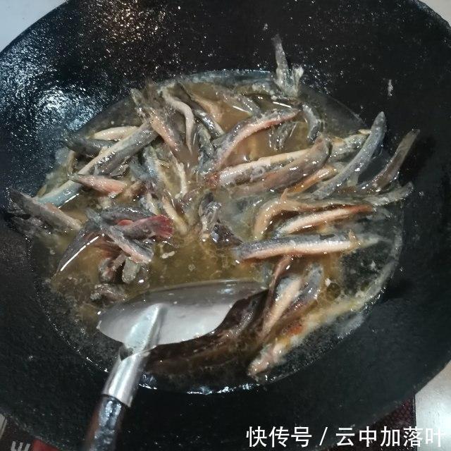 下饭|红烧野生泥鳅，酱香浓郁，十分下饭