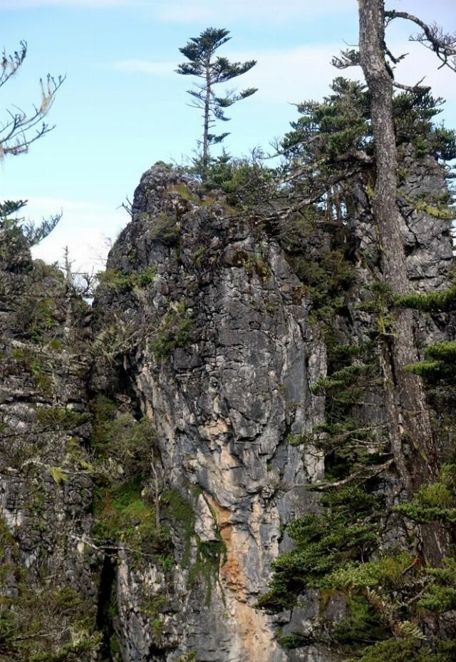 神山|无深度不云南——丽江巴拉神山徒步穿越攻略