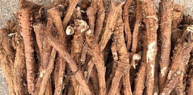  肝毒|它被称为“肝脏解毒王”，每天吃一点，体内肝毒排光光！