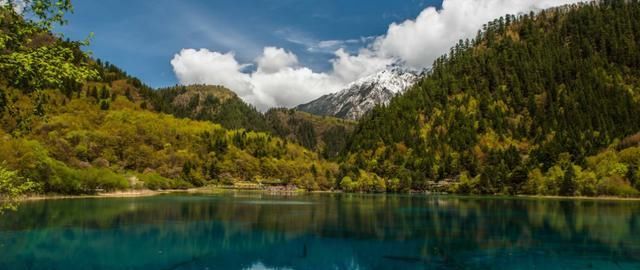  生肖|7月底，爱过痛过，无法放过，3生肖执着旧情人，勇敢将你拥入怀中