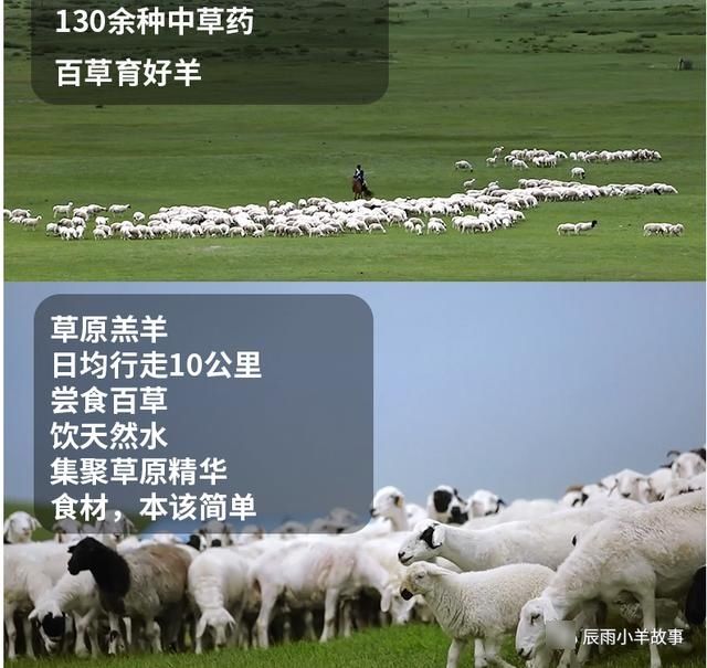 部位|「小羊故事」夏天，不干这件事儿可惜了