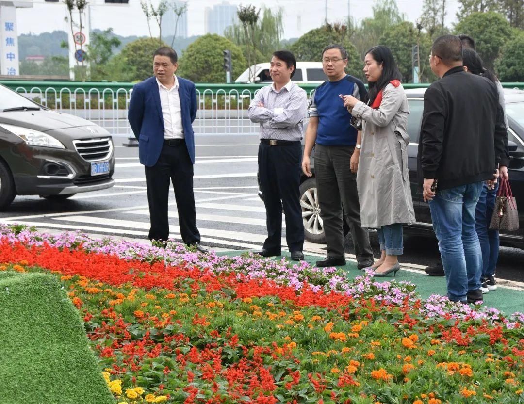 花卉|喜迎双节氛围浓 株洲城区29.7万盆花卉装点大街小巷