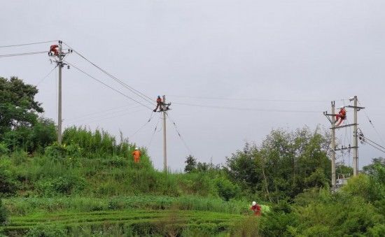 建成|台州首个10千伏线路跨地市互联互供工程建成送电