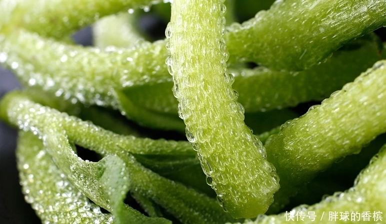 叶子|这菜来自非洲,叶子上有“水晶”,可做肥皂,被称为“贵族蔬菜”