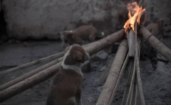 受伤|受伤的文明:印度