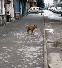 爸爸|搞笑GIF:孩子,都怪你爸爸的脚丫子有毒