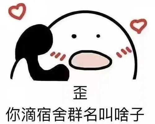 名叫|你们的宿舍群名叫什么