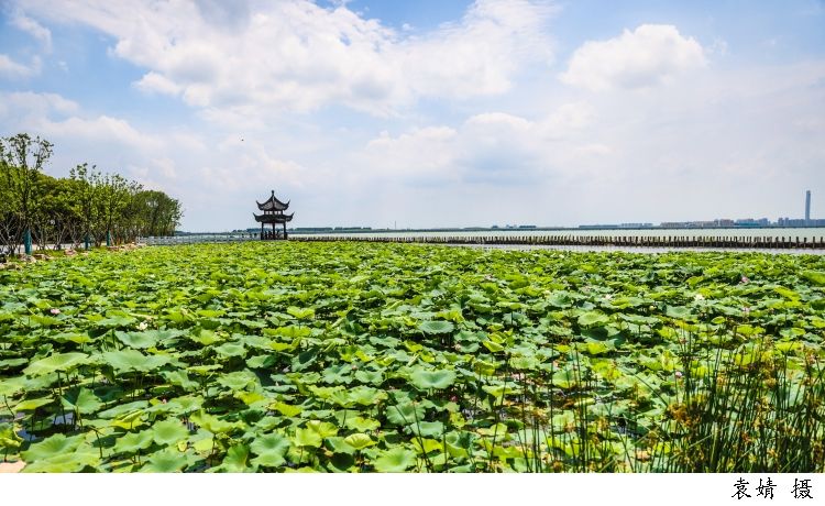 包亚明 | 如何建设好示范区生态文明“试验田”“样板间”“新标杆”