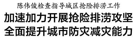 城市防灾|陈伟俊在鹿城检查指导：加速加力抢险排涝，提升城市防灾减灾能力