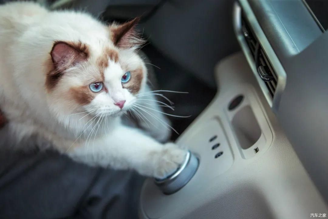  为啥|BW2020启示录：车企为啥总跟“后浪”玩不到一起