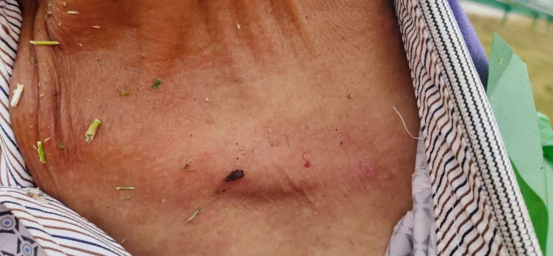  坚守|Vlog“一段大堤，几位老人的坚守”