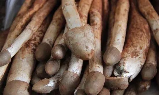 特产|大凉山特产，你知道几个？