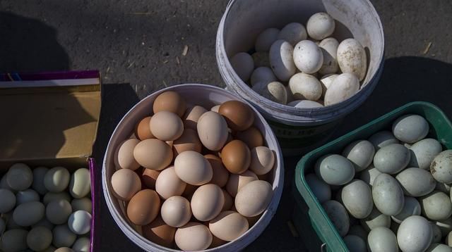 妈妈|吃鹅肉的人很多,超市却没有鹅蛋卖,也很少见人吃鹅蛋,为什么呢