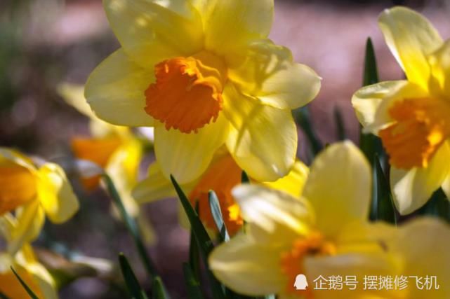  生肖|七月开始：财运如火如荼，处处遇贵人，来喜又来财的生肖