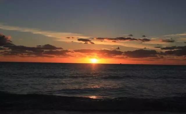  交流|本科交流交换助力背景提升，加州大学洛杉矶分校本科交换项目体验