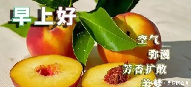 味道|有一种心情,叫喜怒哀乐;有一种味道,叫酸甜苦辣咸,早安