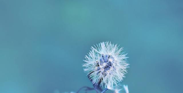 一段话|很现实的一段话,说得真好,今天被刷屏了