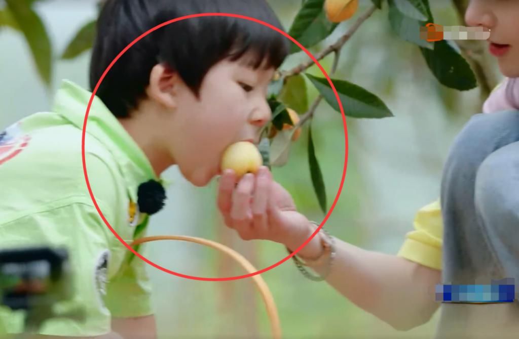 让小朋友|郑爽喂萌娃吃枇杷，不经意间的小动作证明：她会是个好妈妈