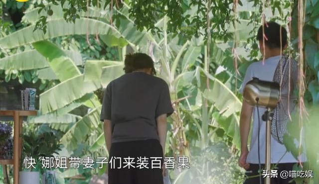 快本家族|谢娜为什么缺席《向往的生活》？谁注意吴昕一句话，原因显而易见