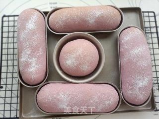 波波|中考加油包--紫薯奶酪波波球面包