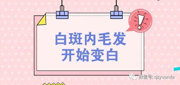 白癜风|白癜风有没有扩散？看这4点就可以了！