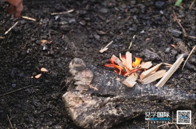  见学|每一次坚持和探索，都是成长的脚步 | 见学国际国庆美式营Day4